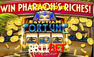 Experiência VIP 8811Bet
